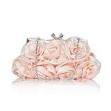 (Champagne)Gorgeous Silk Evening Handbags/ Clutches (012013423)