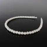 Wedding Special Occasion Casual outdoor Silver Headpieces With White (042019226)