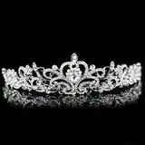 Gorgeous Austria Rhinestones Wedding Bridal Tiara (042024262)