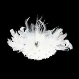 Gorgeous Feather With Rhinestones/  Wedding Bridal Headpiece (042012234)