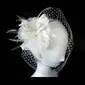 Gorgeous Tulle With Feather Wedding Bridal Headpiece (042025099)
