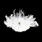 Gorgeous Feather With Rhinestones/  Wedding Bridal Headpiece (042012234)